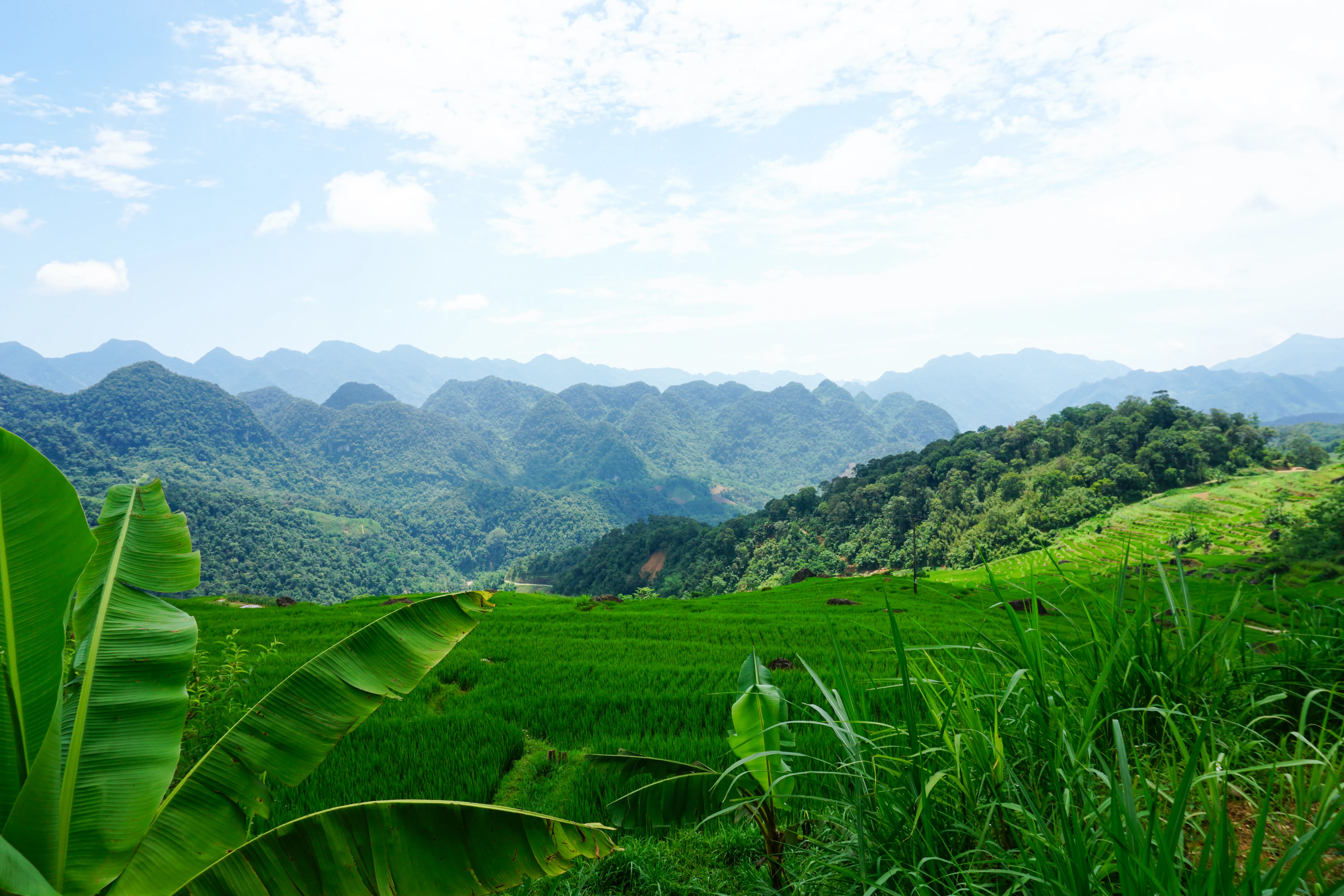 Northern Vietnam Cycling Odyssey Tour 10 Days